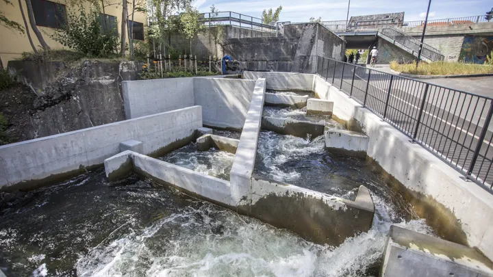Fisketrappa i Skien med gangvei ved siden av.