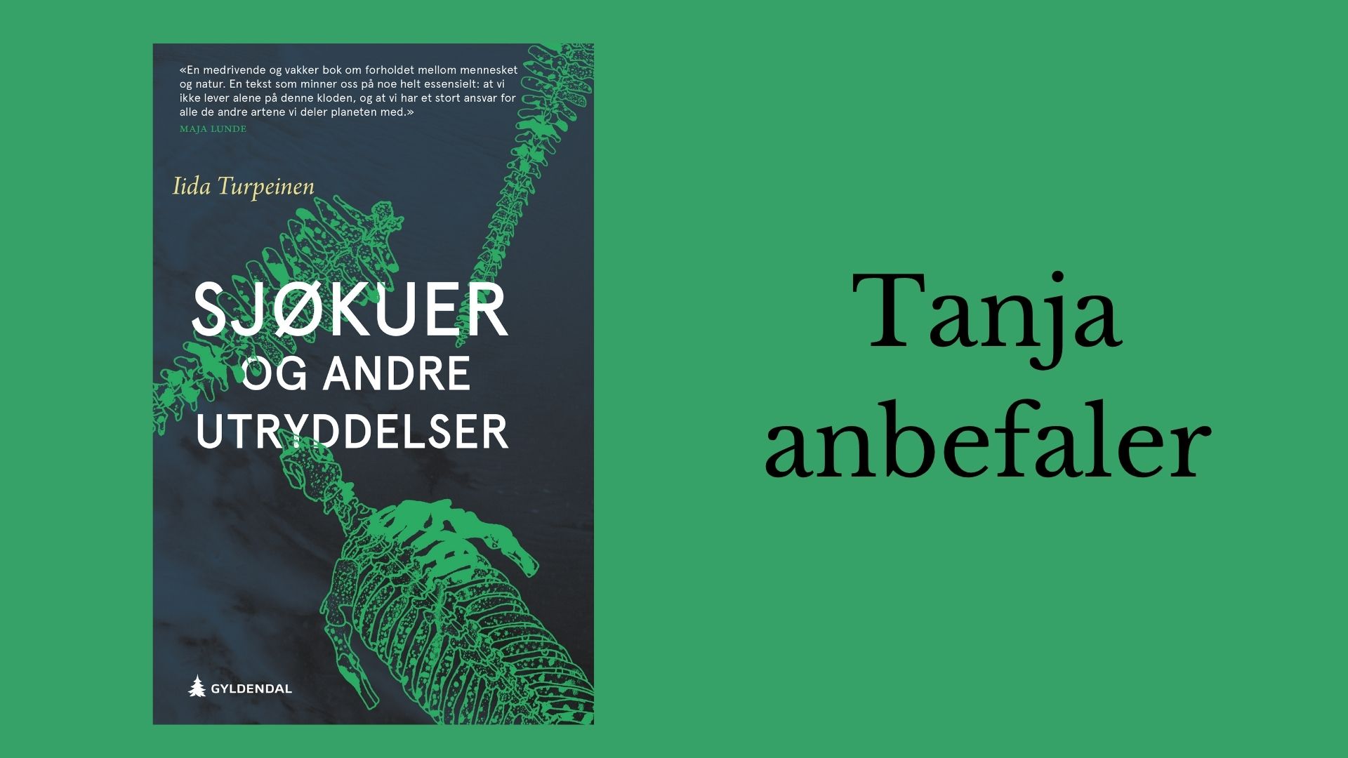 Tanja anbefaler Sjøkuer og andre utryddelser