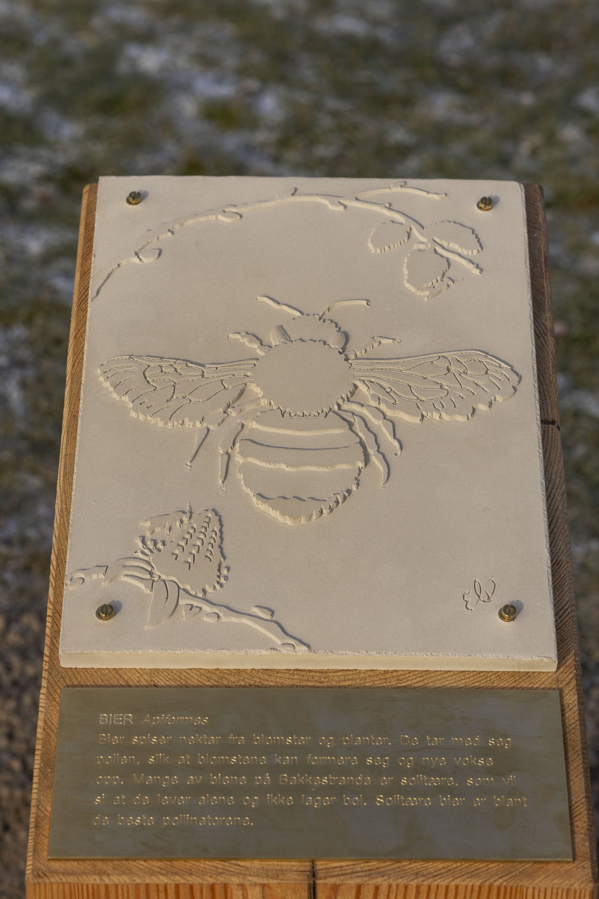 betongplate med avtrykk av en bie. Platen er montert på en trestokk.