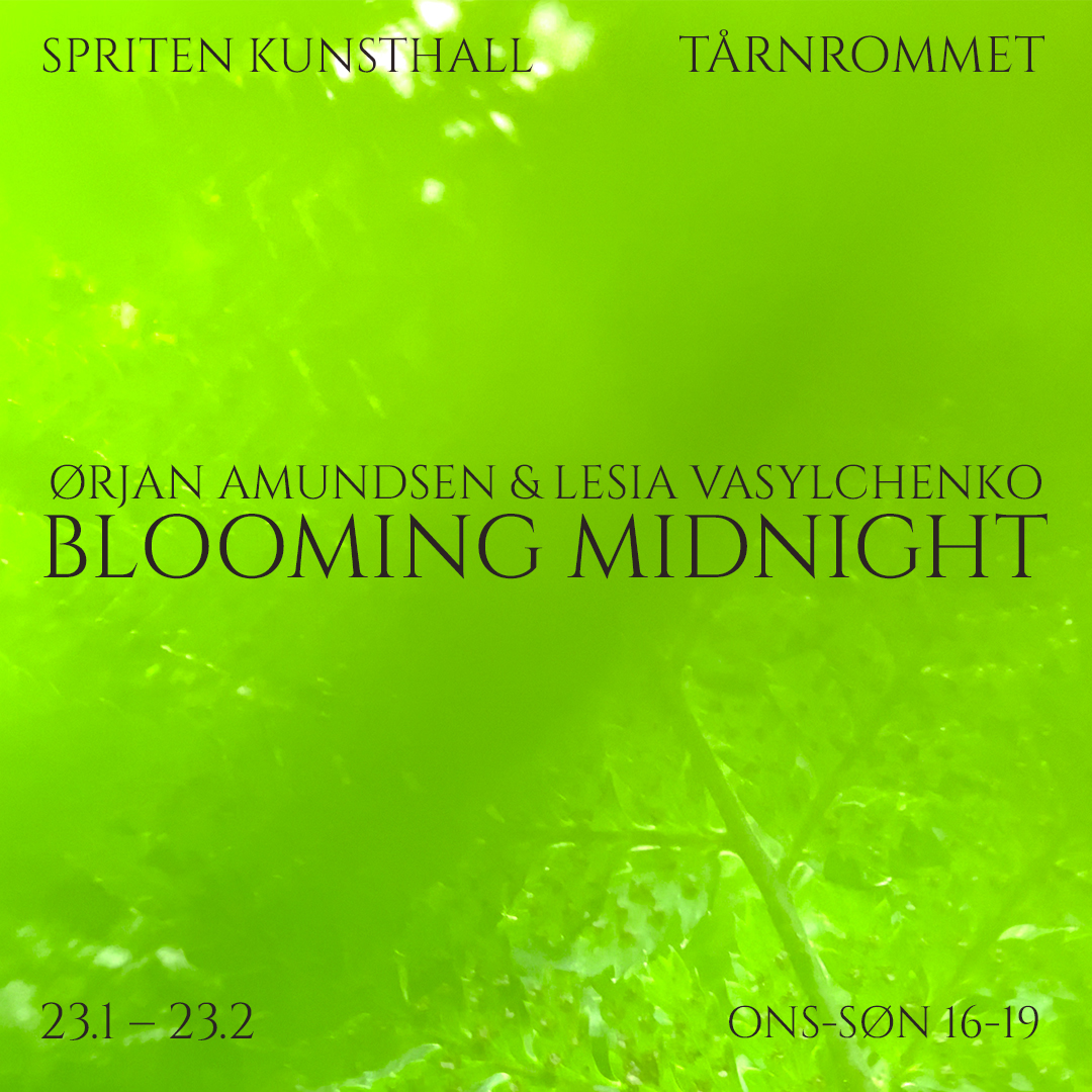 Ørjan Amundsen & Lesia Vasylchenko: Blooming Midnight