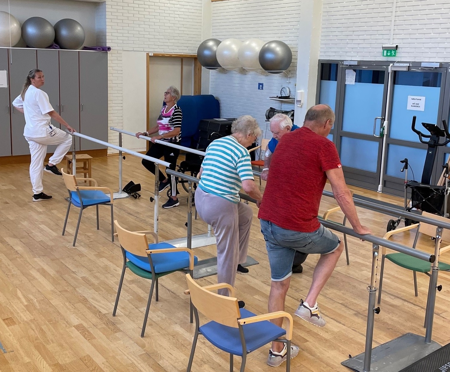 Opplevd funksjonstap, fall eller risiko for det?