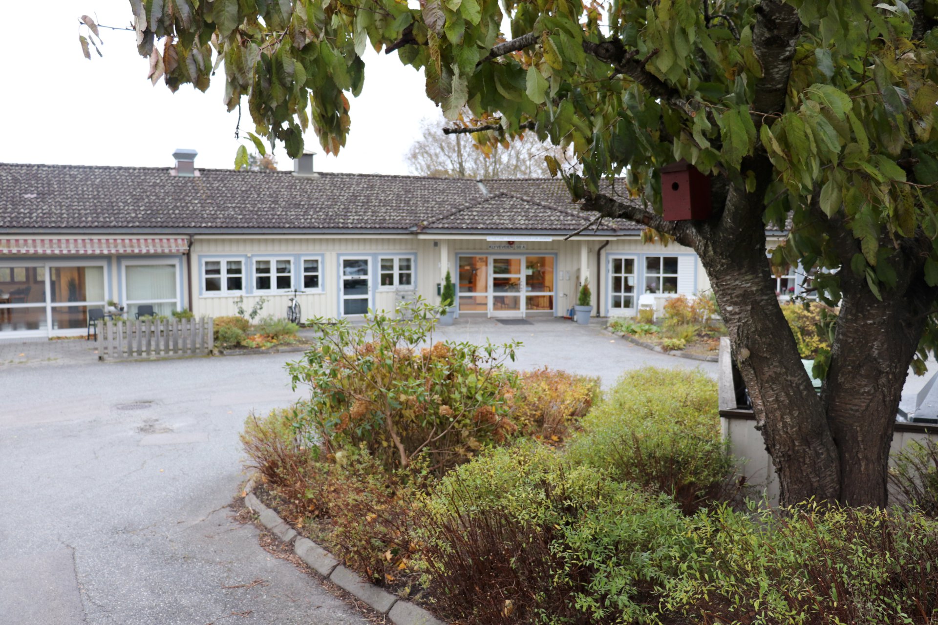 Kurs for pårørende til personer med demens høsten 2026