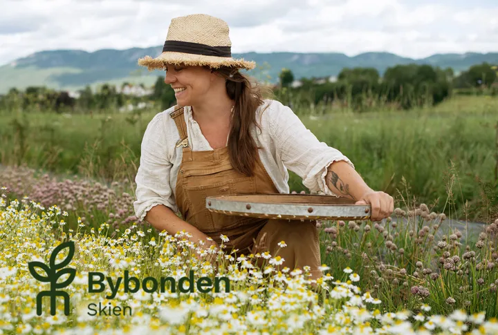 Bybonden Hilde Amy Teie i åkeren, foto: Vidar Kristiansen