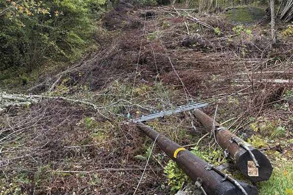 - Hold avstand og meld ifra