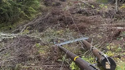 - Hold avstand og meld ifra