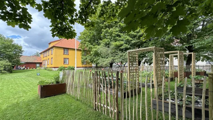 Bybondens kjøkkenhage i hagen til Skien gamle prestegård.