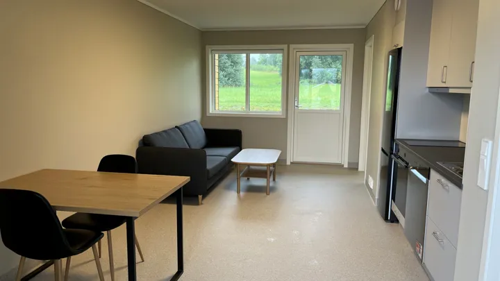 boligrom med bord, stol, sofa og kjøkkeninnredning.