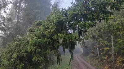 Rydder turløyper - vær forsiktig og vis hensyn